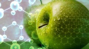 دانلود مقاله نقش فناوری نانو در صنایع غذایی