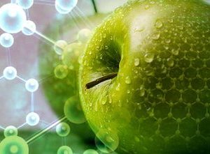 دانلود مقاله نقش فناوری نانو در صنایع غذایی
