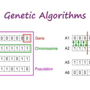 دانلود پایان نامه دوره کارشناسی با عنوان الگوریتم ژنتیک